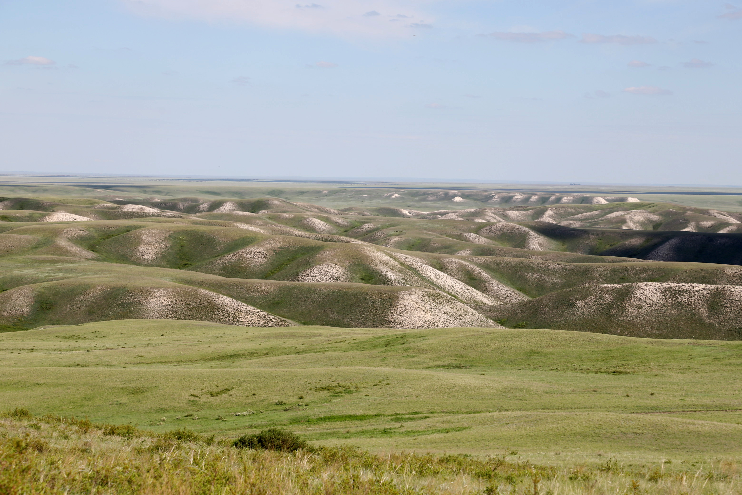Загадка Миргородского ботанико-зоологического заказника в ЗКО