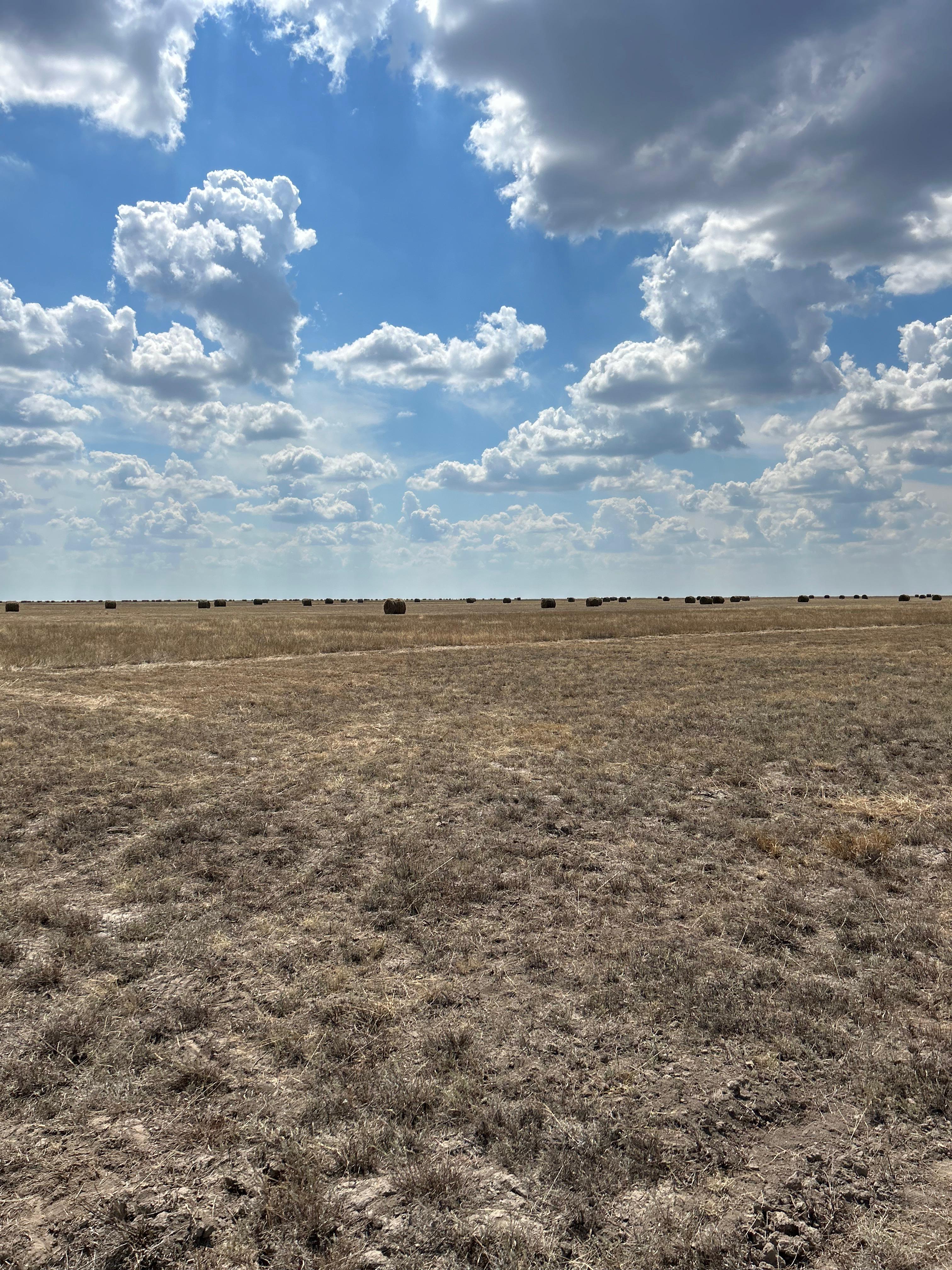 БҚО-да 4750 гектар жайылым жер мемлекет меншігіне қайтарылды