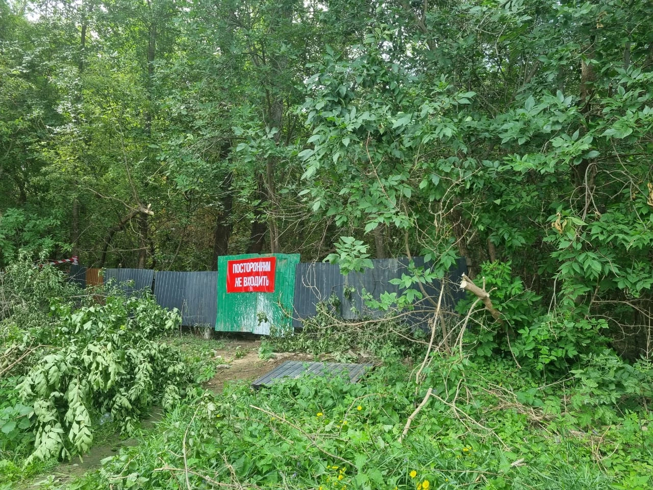 Участок земли на берегу Урала продали в частные руки