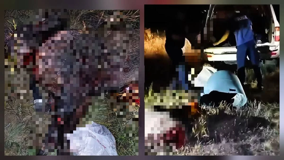 В Уральске задержали браконьера с тушами кабанов