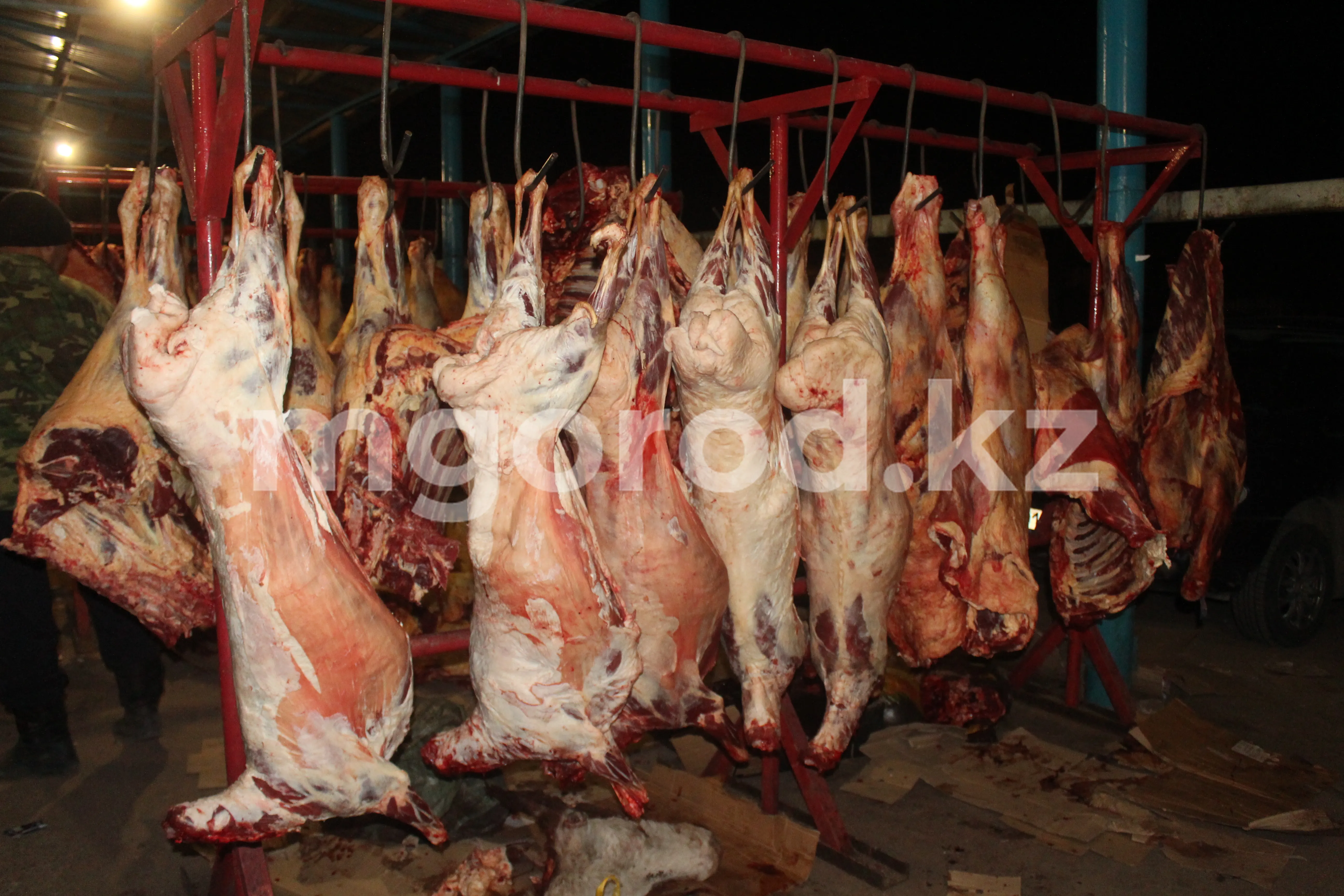 В какие страны экспортируется казахстанское мясо