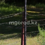 27 граждан Индии пытались пробраться в ЗКО в обход пункта пропуска