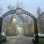 Туман ожидается в ЗКО