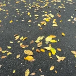 В ЗКО ожидается усиление ветра