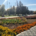 Прогноз погоды для жителей ЗКО на 22 октября