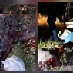 В Уральске задержали браконьера с тушами кабанов