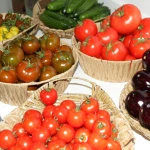 Ярмарка сельхозпродукции пройдет в Уральске 27 и 28 сентября