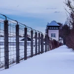 Тысячи заключенных казахстанцев выйдут на свободу раньше срока
