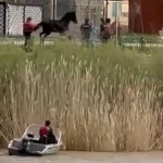 Тонущую в реке лошадь спасли в Атырау