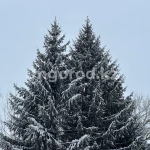 Погода в ЗКО на 17 февраля