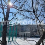 Туман ожидается в ЗКО