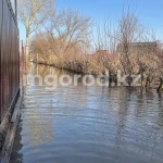 Еще один ребенок утонул в талой воде в Актюбинской области