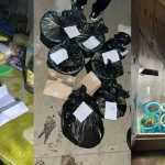 В Уральске мужчина устроил фитолабораторию в гараже