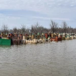 Кладбище затопило талыми водами в ЗКО
