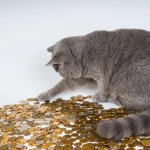 Названы пять знаков зодиака, которых удивит жизнь на этой неделе