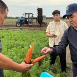 БҚО әкімі жұмыс сапарымен  Бәйтерек ауданына барды