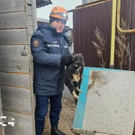 «Для нас важна каждая жизнь»: спасатели Уральска вытащили щенка из уличного туалета