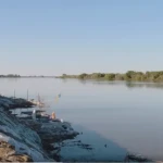 Фермеры Атырауской области не знают куда им возвращать скот и чем его кормить