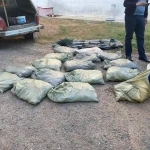 16 мешков раков перевозил житель ЗКО