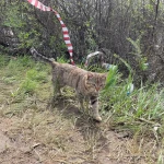 В ЗКО объявлено штормовое предупреждение