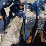 Упавшую в септик корову извлекли спасатели Атырау