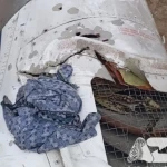 Самолет упал в Актау: эксклюзивные фото воздушного судна появились в сети