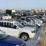 «Cерые схемы» ввоза иностранных авто выявили в ЗКО