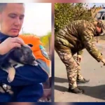 Спасатели и пожарные ЗКО накормили собак и почистили им вольеры