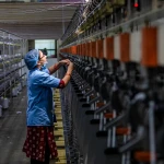 Бөрлі ауданында 30 мың жұмысшы маман бар