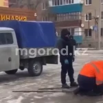 Во время отлова собак сотруднику ветстанции в Уральске разбили голову бутылкой