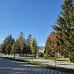 Прогноз погоды для жителей ЗКО на 11 октября