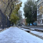 Погода на 10 декабря