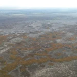 Пожар на территории резервата «Акжайык» ликвидировали в Атырауской области