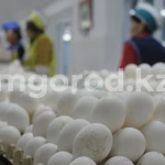 По какой цене отпускают продукты из Стабфонда ЗКО