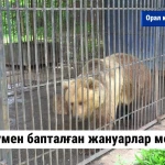 Жылумен бапталған жануарлар мекені
