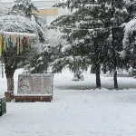 Погода на 29 декабря в Уральске