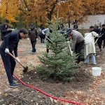 Город становится зеленее: в Уральске появились десятки новых деревьев