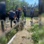 Пенсионер выращивал коноплю во дворе своего дома в Уральске