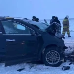 Годовалый малыш выжил в аварии, где погибли пять человек в ЗКО