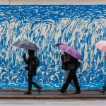 4 знака зодиака, которые примут важное решение в ноябре 2025 года