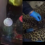 В Уральске мужчина хранил на даче оружие и наркотики