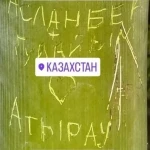 Жительница Атырау повредила редкий бамбук в ботсаду Батуми, вырезав на нем инициалы