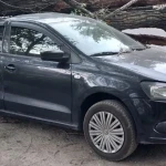 Шесть деревьев повалил шторм в Алматы