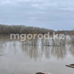 Паводок в ЗКО: вода в Урал медленно прибывает