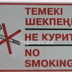 Девочка-подросток из Атырау курила на борту самолета