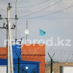 Канал незаконной миграции пресекли в Атырауской области