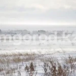 Низовая метель ожидается в ЗКО 3 февраля