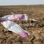 Более 15 тысяч человек ждут землю в Бурлинском районе ЗКО