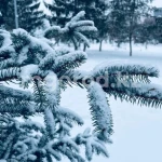 Снег с дождем ожидаются в ЗКО