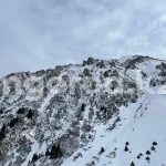 Отправился в одиночку: второй день ищут пропавшего в горах Алматы туриста